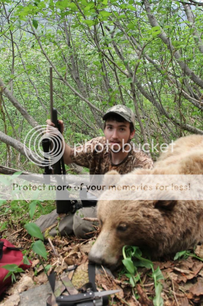 Minimum 'caliber' for Kodiak Brown Bear? 24hourcampfire